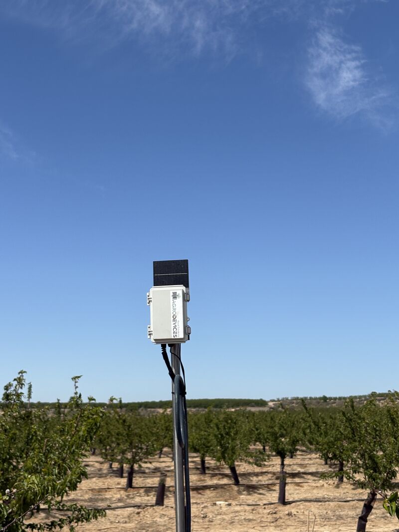 Equipo de Agrodevices instalado en un poste en la finca de melocotón de Lleida
