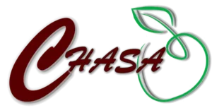 Inicio Logo de Chasa