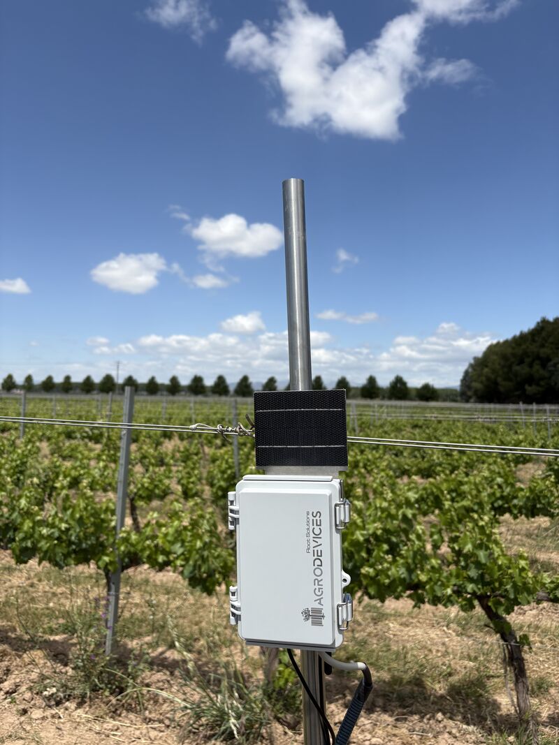 Equipo de Agrodevices con panel solar y antena instalado en un viñedo