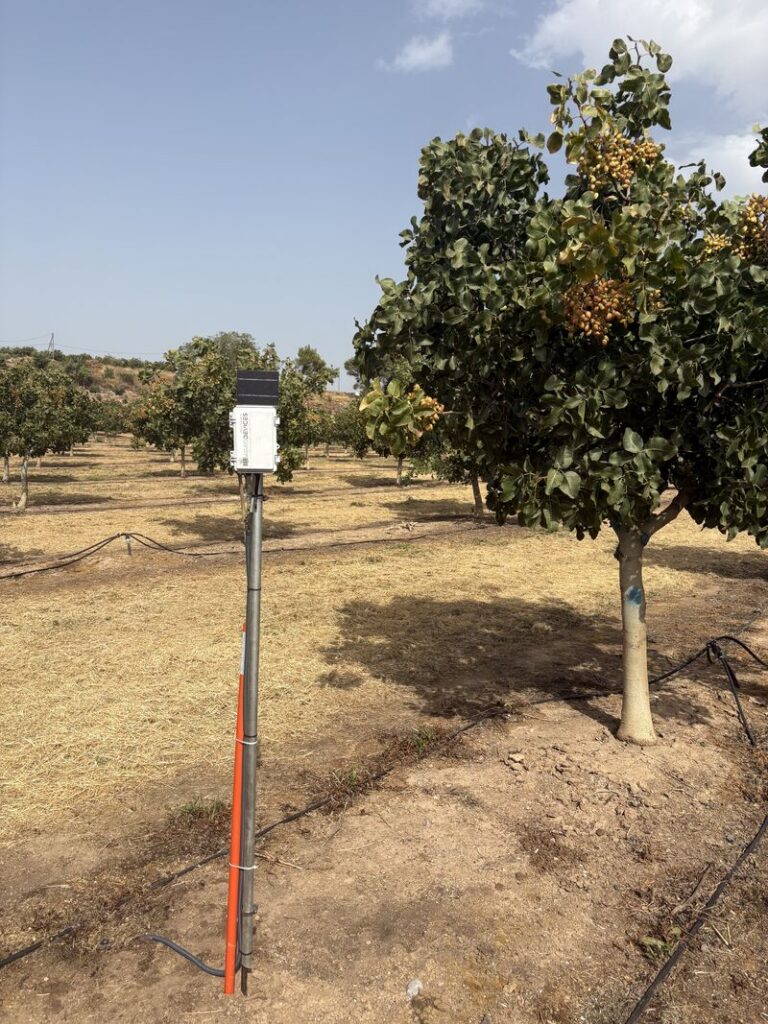 Riego en fincas sin cobertura: cómo funciona una red LoRa propia lin5