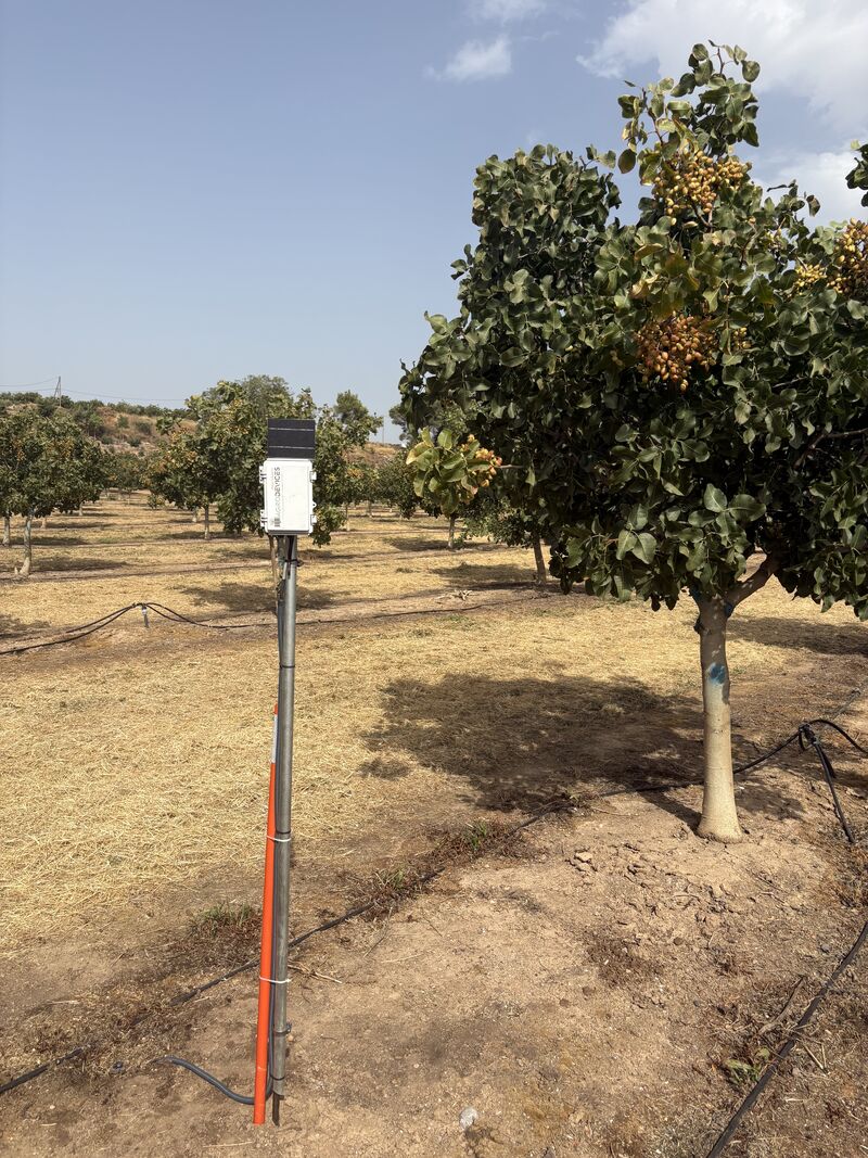 Riego en fincas sin cobertura: cómo funciona una red LoRa propia