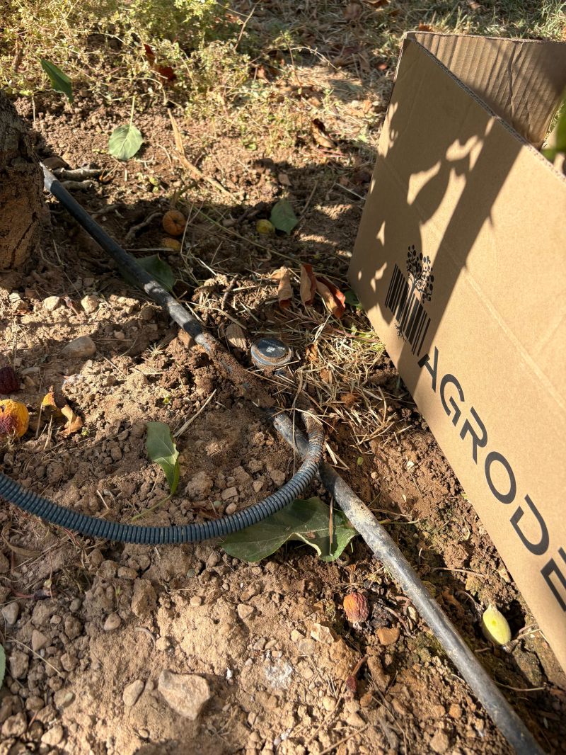 Cuándo y cuánto regar: cómo decidirlo con sondas de humedad del suelo Sonda de Agrodevices instalada en el suelo junto a la línea de goteo
